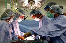 Transplante de islotes pancreáticos restaura producción de insulina a largo plazo