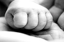 Prematuridad genera problemas de supervivencia y reproducción