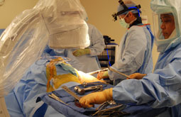 Bifosfonatos refuerzan el éxito de la artroplastia