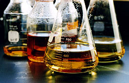 Vacuna antigripal atenuada tiene mayor eficacia que la vacuna de virus inactivos