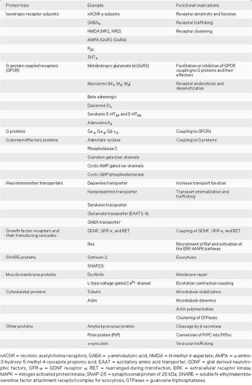 Tabla 1: algunas de las proteínas asociadas a balsas de lípidos y posibles implicaciones funcionales