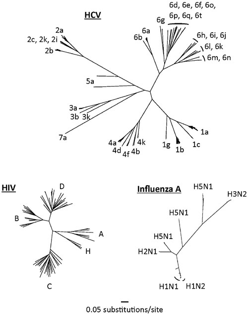 Figura 1: árboles genómicos completos de los virus de la hepatitis C, el VIH-1 (grupo M) y la región hemaglutinina de la influenza A.