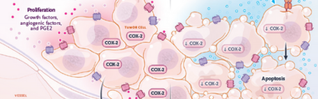 Develando el poder antimetastásico del ácido acetilsalicílico