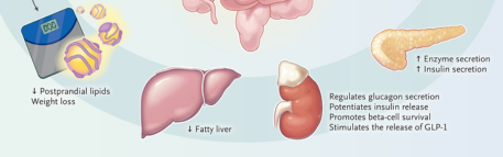 Medicamentos GLP-1: una revolución que no cesa