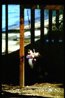 “Columpio” del Dr.<br>Raimundo Ureta