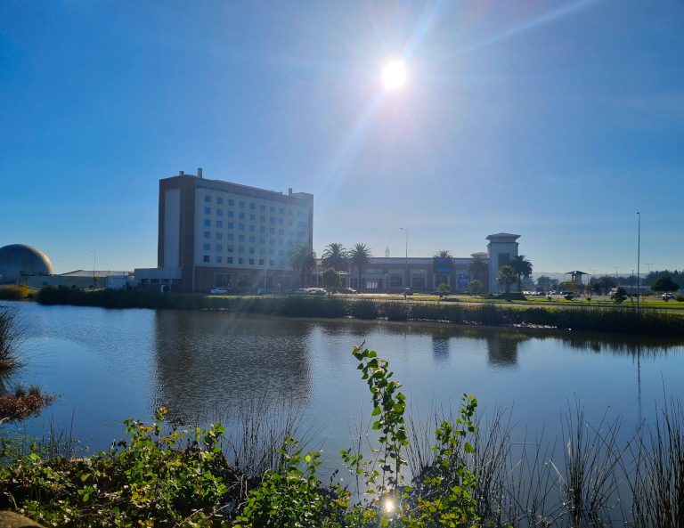 capacitación, pediatría, neonatología, udec, hospital regional de concepción