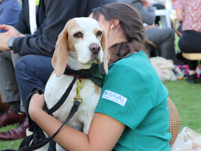 fundación tregua, vínculo humano-animal, perros de terapia