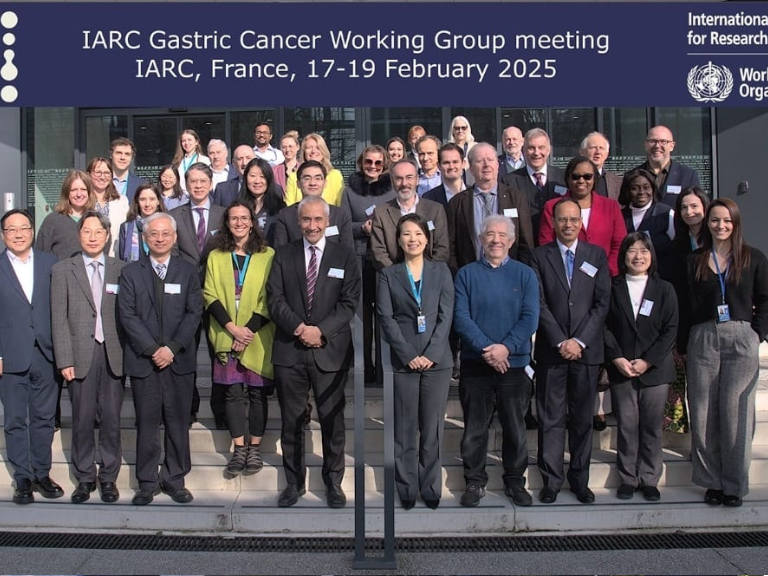 Helicobacter pylori, cáncer gástrico, Agencia Internacional para la Investigación del Cáncer de la Organización Mundial de la Salud (OMS)