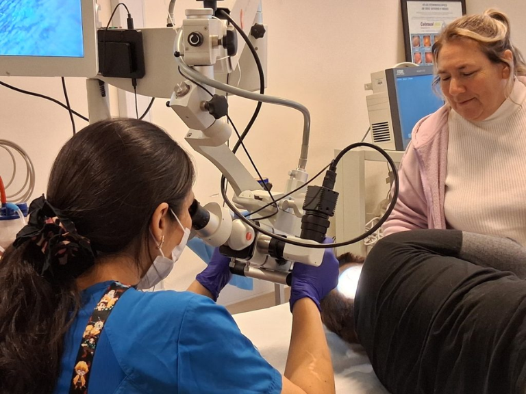 Hospital Dr. Gustavo Fricke, JUNAEB, audífono de conducción ósea