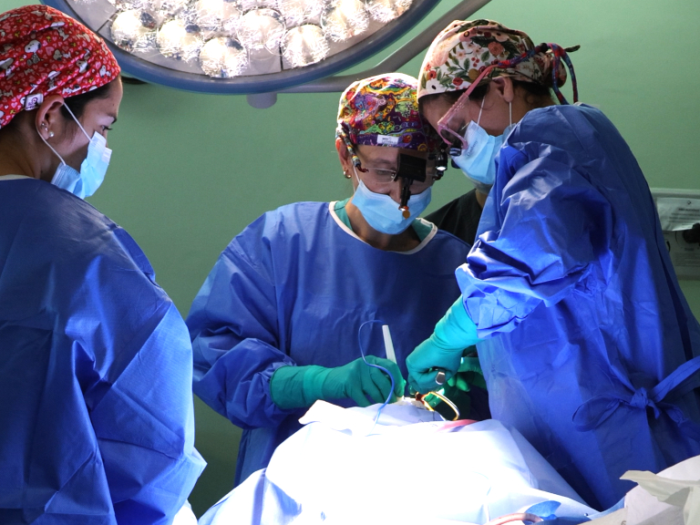 cirugía plástica infantil, hospital clínico magallanes, hospital luis calvo mackenna