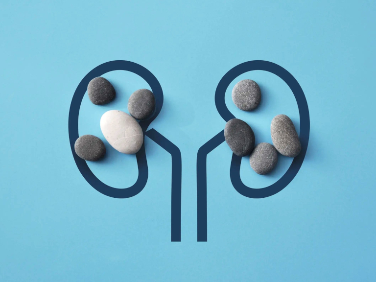 El sorprendente rol de las bacterias en la salud renal