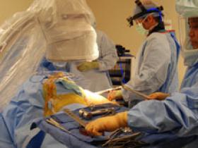 Bifosfonatos refuerzan el éxito de la artroplastia