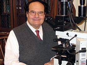 Dr. Martin Mihm