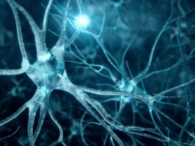 Proteinopatías y neurodegeneración: condiciones prevalentes