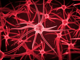 Triclosán afecta la memoria y función neuronal