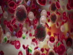 NanopartÃcula de doble objetivo para el tratamiento del cáncer