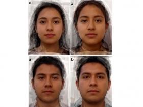 Toxoplasma harÃa a las personas más atractivas