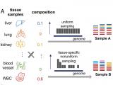 Deconvolución tisular integral de ADN libre mediante aprendizaje profundo