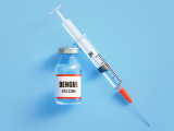 Prometedora vacuna contra el dengue