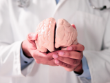 Beneficios neuroprotectores y cerebrovasculares de la semaglutida y la tirzepatida