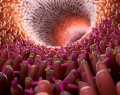 Cómo la microbiota intestinal y el insomnio se influyen mutuamente