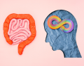 microbiota intestinal, trastorno del espectro autista, TEA, trastorno por déficit de atención e hiperactividad, TDAH, anorexia nerviosa