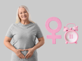 menopausia, menopausia temprana, menopausia precoz, edad de la menopausia, envejecimiento cerebral, deterioro cognitivo, enfermedad de Alzheimer