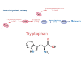 trastorno por déficit de atención e hiperactividad, TDAH, tratamiento TDAH, serotonina, dopamina
