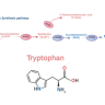 trastorno por déficit de atención e hiperactividad, TDAH, tratamiento TDAH, serotonina, dopamina