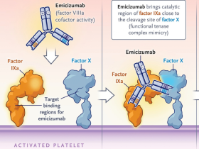 hemofilia A, terapia de reemplazo del factor VIII, coagulación, hemostasia, emicizumab