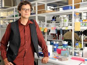 Dr. Steffen Hartel