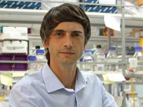 Dr. Andrés Couve