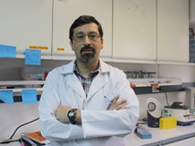 Dr. Rafael Medina Silva