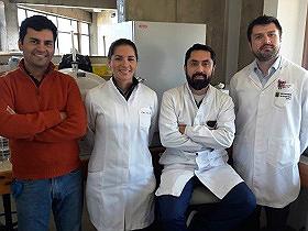 Miembros del Cicom