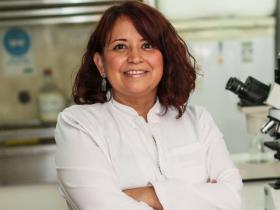 Q.F. Fernanda Cavieres Fernández
