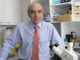 Dr. Fernando Cassorla
