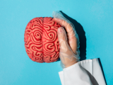 Cicatrices cerebrales del dolor emocional