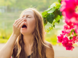 alergia estacional, rinitis alérgica 