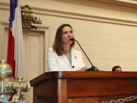 sochog, sociedad chilena de obstetricia y ginecología, 90 años sochog, nueve décadas sochog, maría josé del río