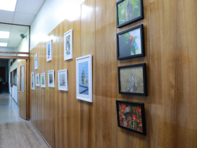 centro saval rancagua, aves, esteban astete, kinesiólogo, medicina física y rehabilitación