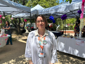 feria lactancia materna, comité lactancia materna, hospital luis calvo mackenna, ana fritis, francisca valenzuela