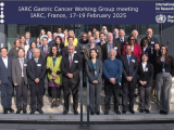 Helicobacter pylori, cáncer gástrico, Agencia Internacional para la Investigación del Cáncer de la Organización Mundial de la Salud (OMS)