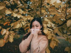 alergias estacionales, sintomas respiratorios, otoño, alérgenos intradomiciliarios