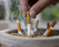 Día Mundial Sin Tabaco, enfermedades respiratorias, salud cardiovascular, tabaquismo