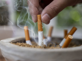 Día Mundial Sin Tabaco, enfermedades respiratorias, salud cardiovascular, tabaquismo