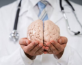 Día Mundial del Cerebro, accidente cerebrovascular (ACV),