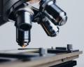 las higueras, producción científica, investigación