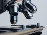 las higueras, producción científica, investigación