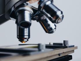 las higueras, producción científica, investigación