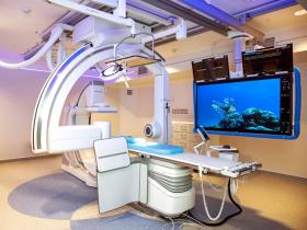 clínica biobío, centro terapia endovascular, dr. jaime pinto, dr. luis pérez